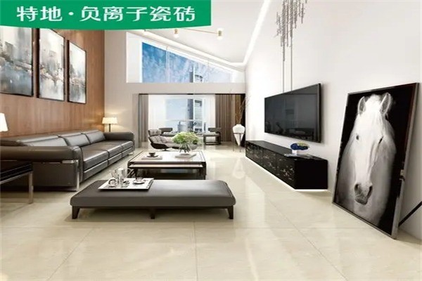 特地负离子瓷砖